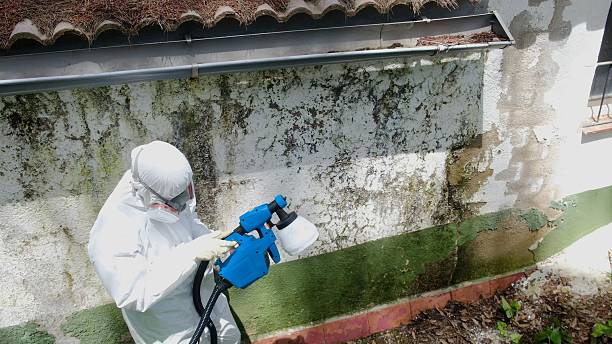 Top rated local Mold Remediation specialists in Loysburg, PA